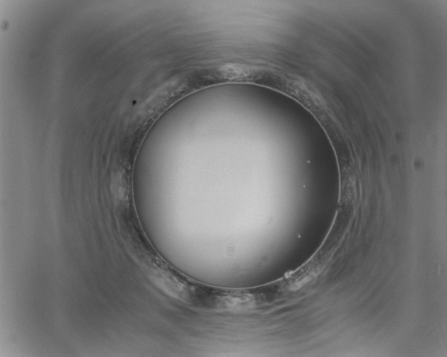 X0000058780317200510031027