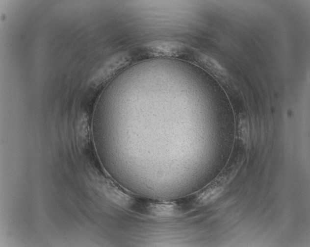 X0000058780318200510031027