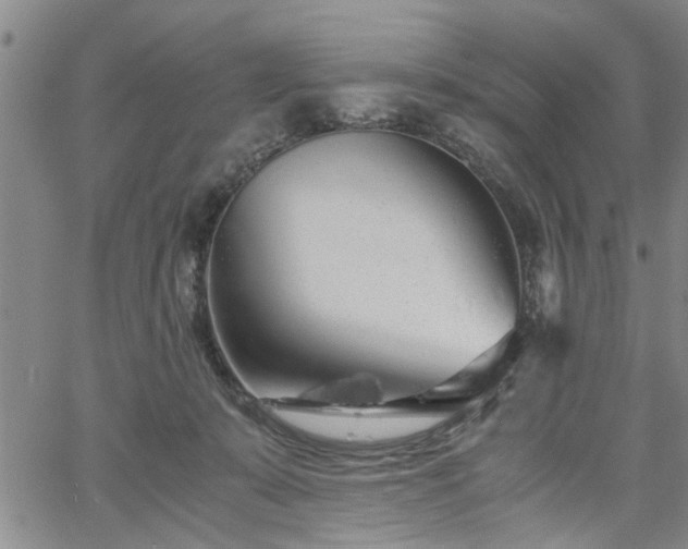 X0000058780319200510031027