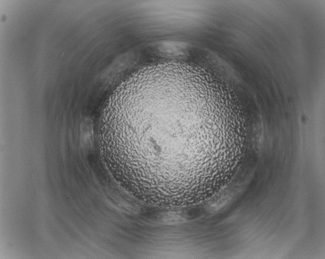 X0000058780320200510031027