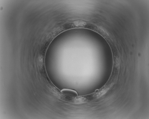 X0000058780321200510031027