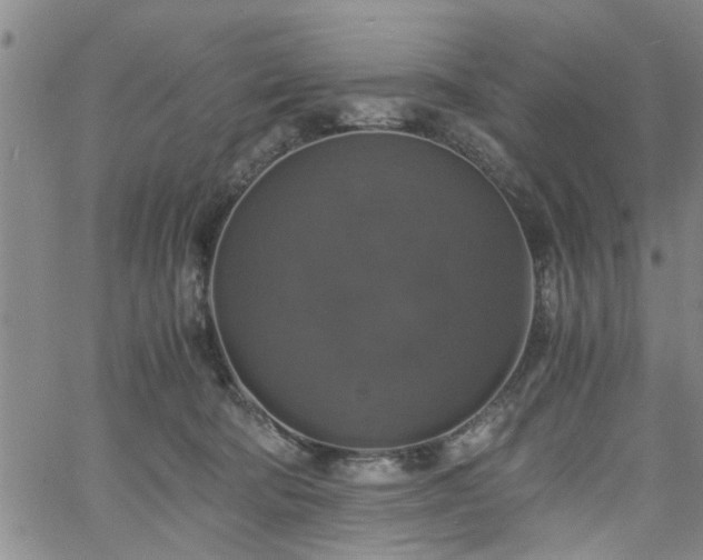 X0000058780322200510031027