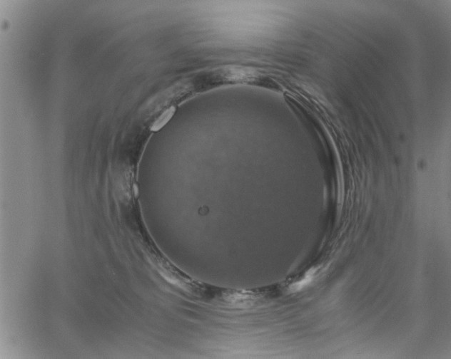 X0000058780325200510031026