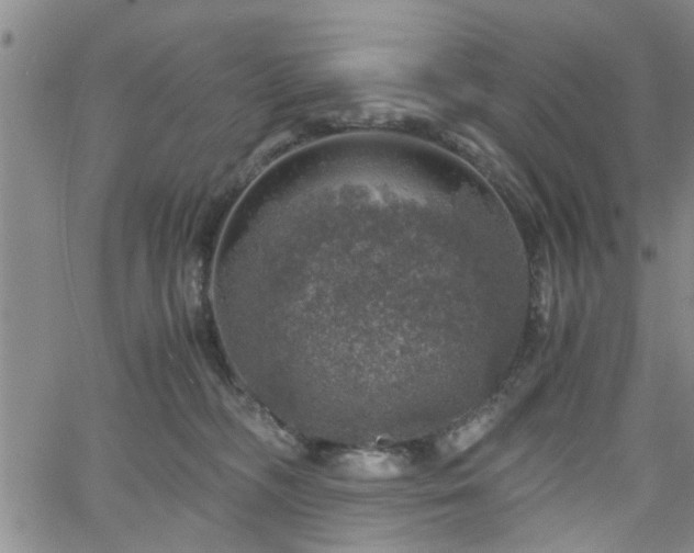 X0000058780326200510031026