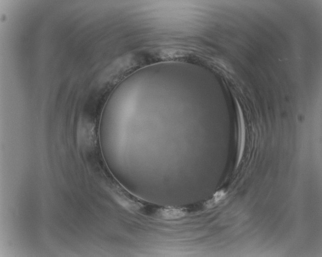 X0000058780327200510031026