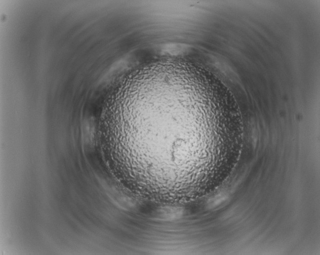 X0000058780328200510031026