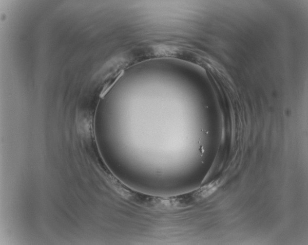 X0000058780329200510031026