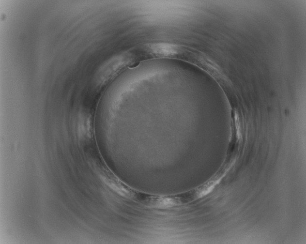 X0000058780330200510031026