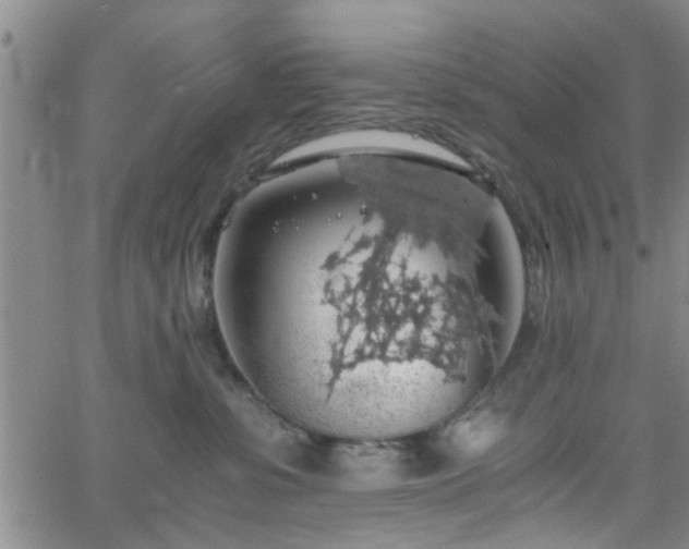 X0000058780331200510031026