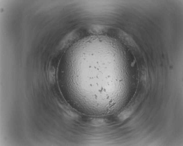 X0000058780332200510031026