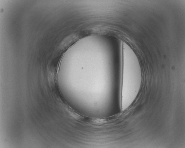 X0000058780333200510031026