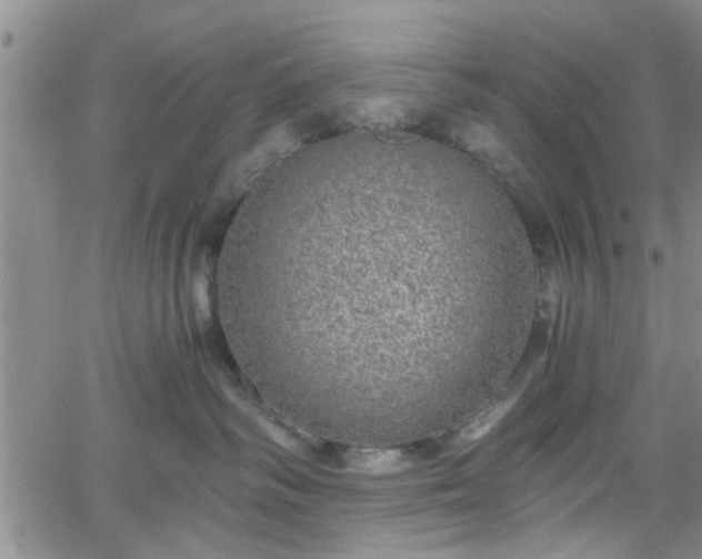 X0000058780334200510031026