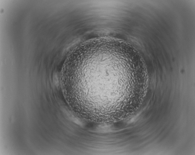 X0000058780335200510031026