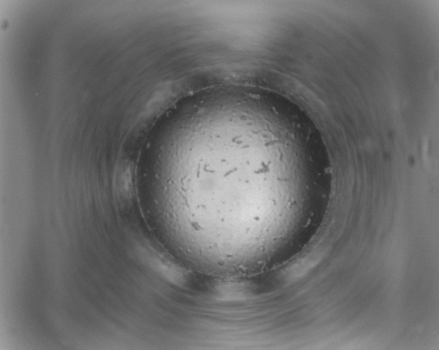 X0000058780336200510031026