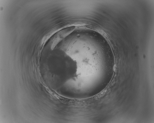 X0000058780337200510031026