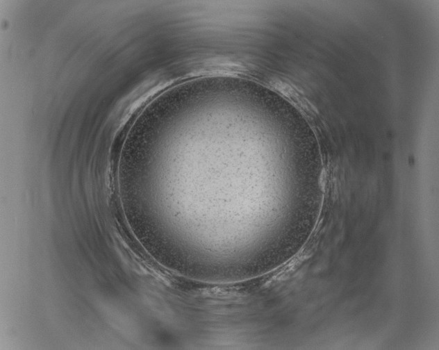 X0000058780338200510031026