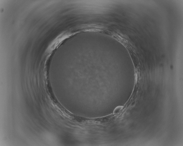 X0000058780339200510031026