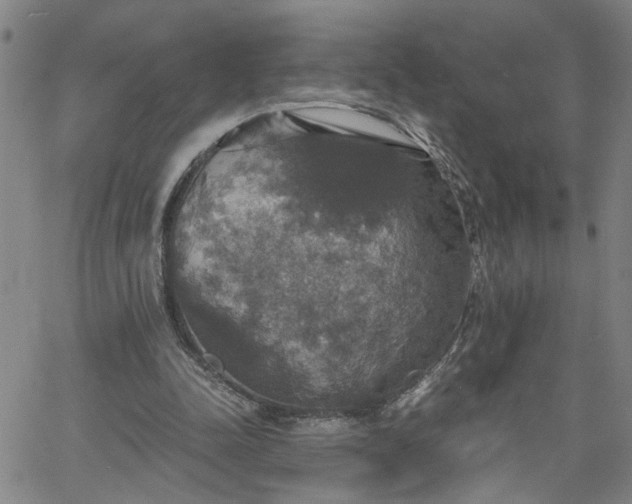 X0000058780342200510031026