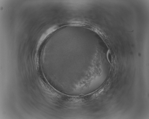 X0000058780343200510031026