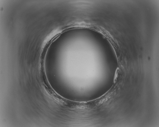 X0000058780344200510031026