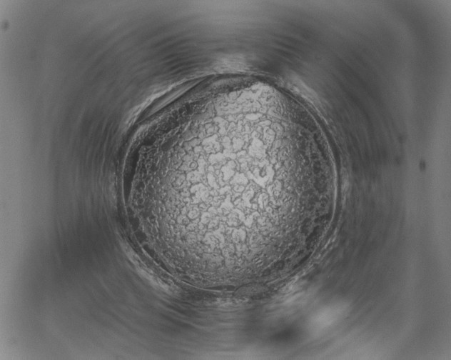 X0000058780345200510031026