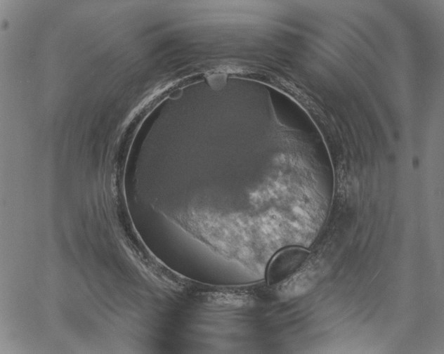 X0000058780347200510031026