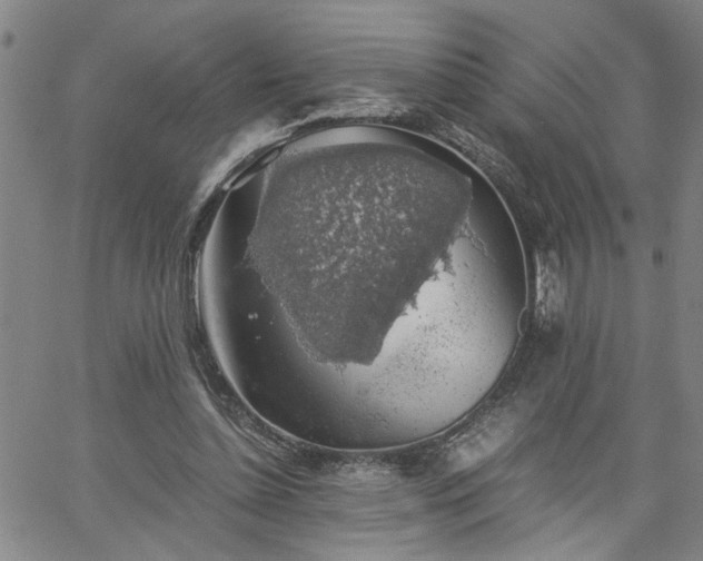 X0000058780348200510031026