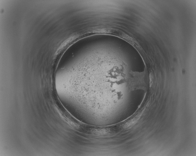 X0000058780349200510031026