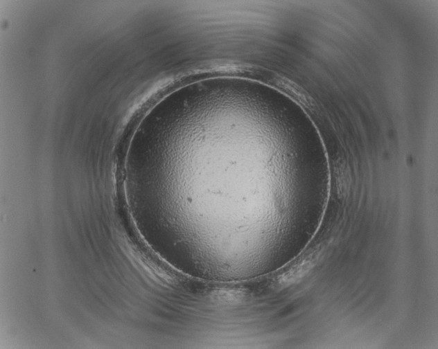 X0000058780350200510031026