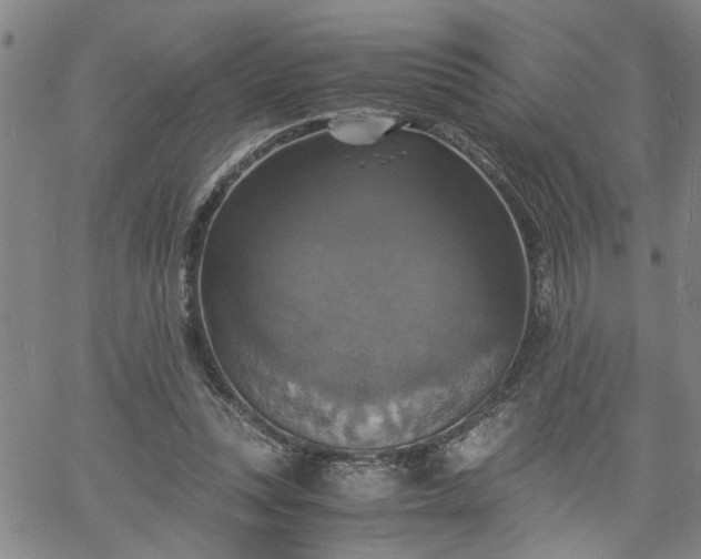 X0000058780351200510031026