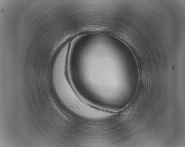 X0000058780352200510031026