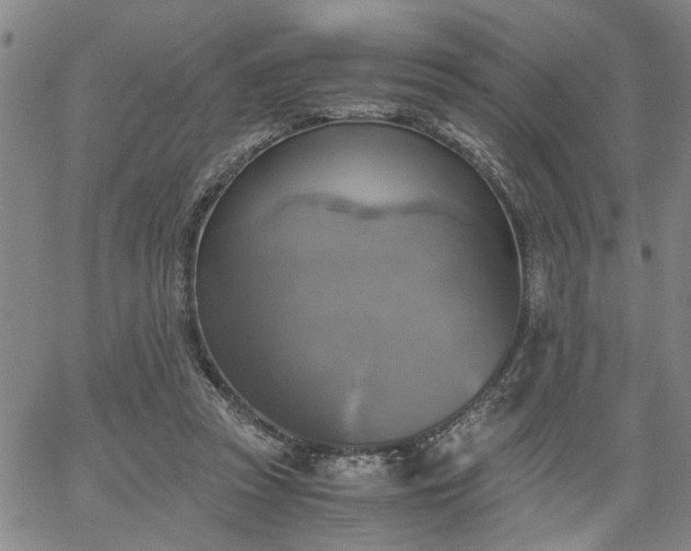 X0000058780353200510031026