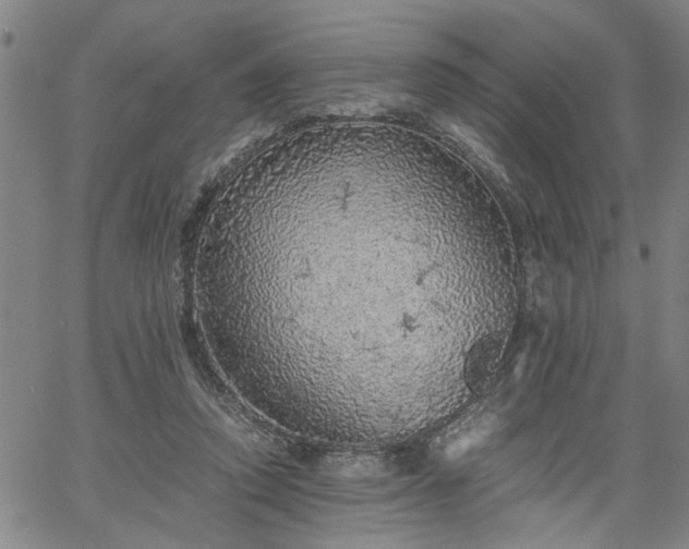 X0000058780354200510031026