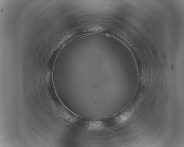 X0000058780355200510031026