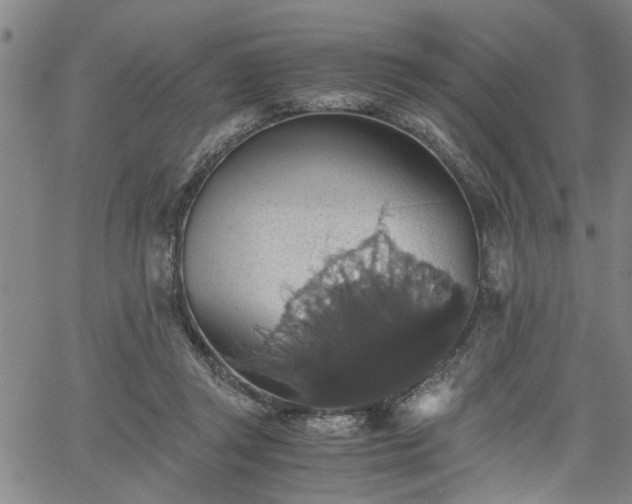 X0000058780357200510031026