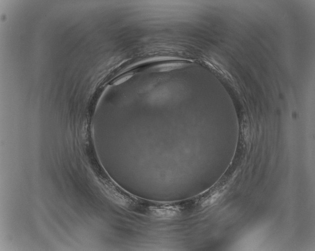 X0000058780359200510031026