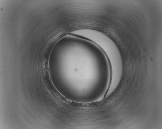 X0000058780360200510031026