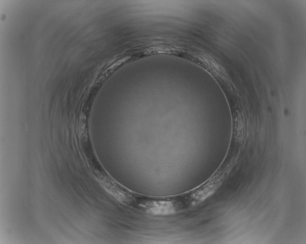 X0000058780361200510031026