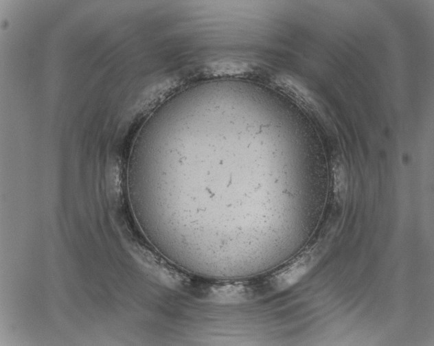 X0000058780362200510031026