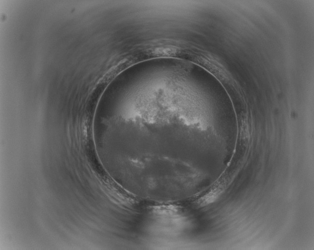 X0000058780363200510031026