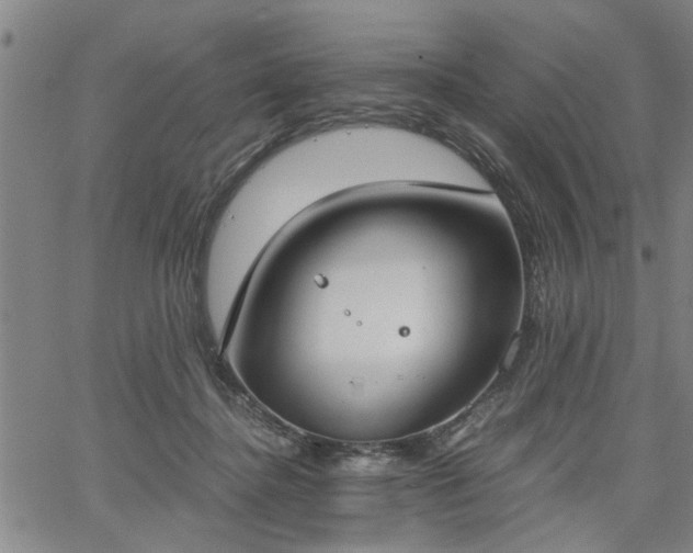 X0000058780364200510031026