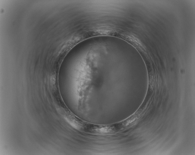 X0000058780365200510031026