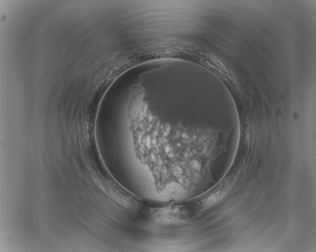 X0000058780366200510031026