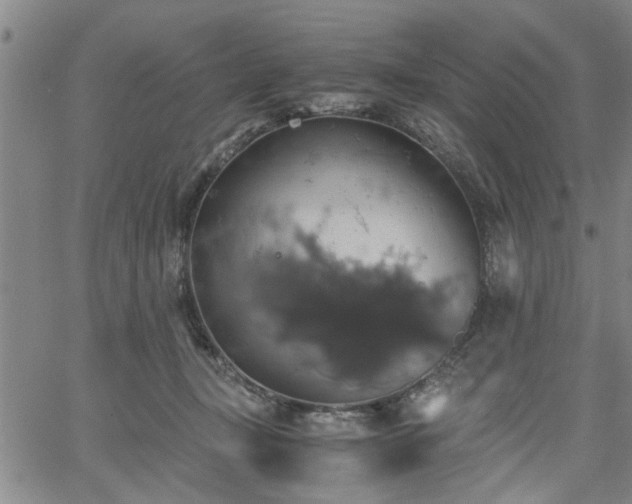 X0000058780367200510031026