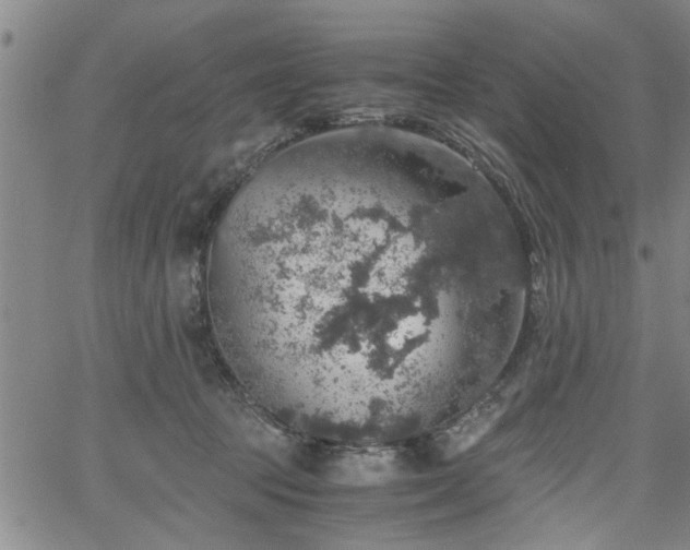 X0000058780369200510031026