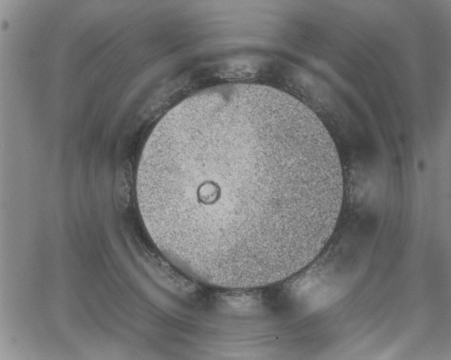 X0000058780370200510031026