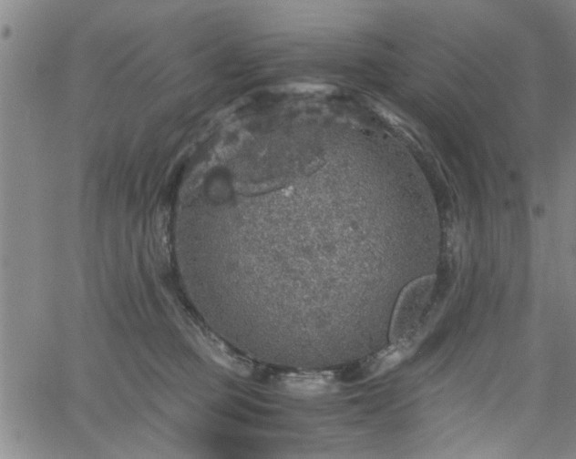 X0000058780373200510031026