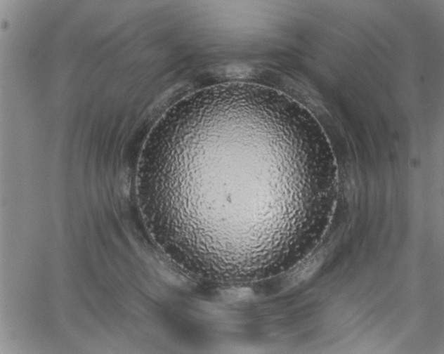 X0000058780374200510031026