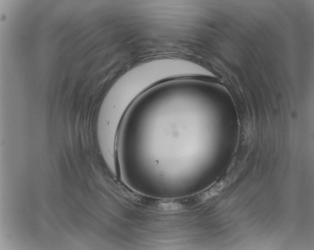 X0000058780376200510031026