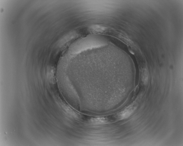 X0000058780378200510031026